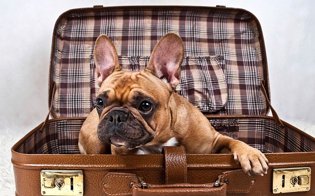 @42harryshousedurham tweet media