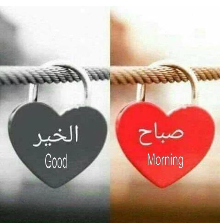 naeem2022's tweet photo. https://t.co/6ZrmEAuXBl