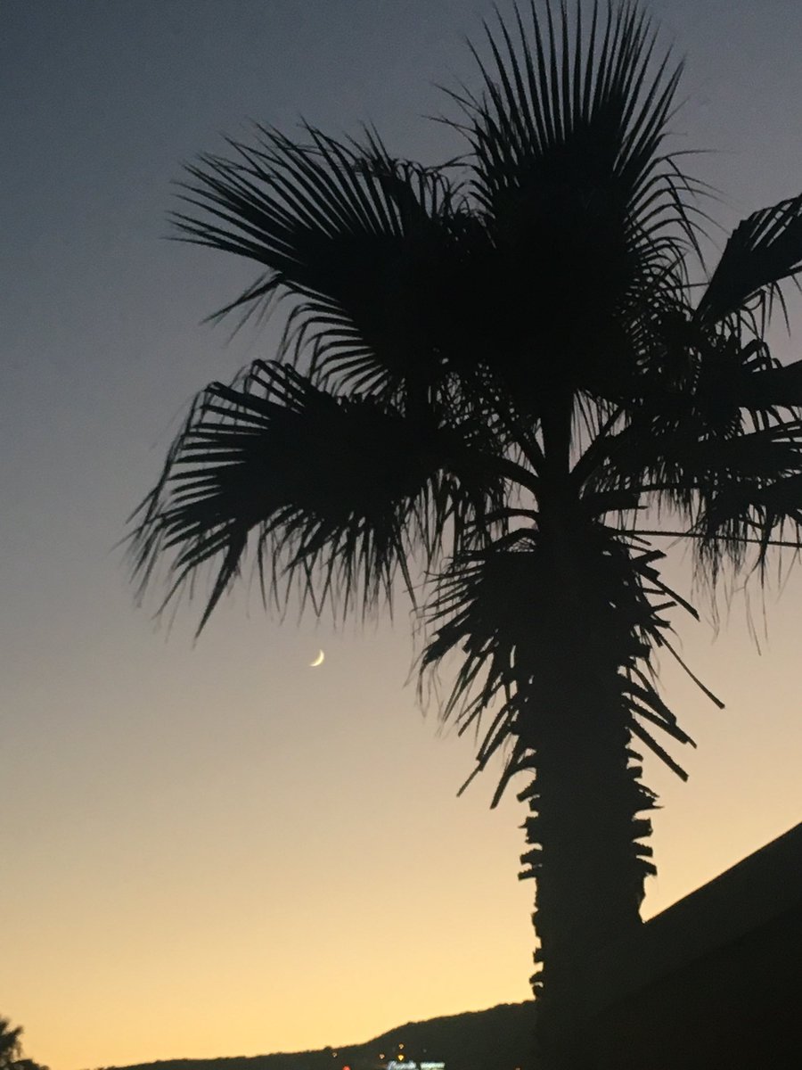 dailymoonpics's tweet photo. summer sweetness https://t.co/AIeNs96z8i
