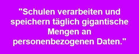 der fisch in uns eine reise durch die 35