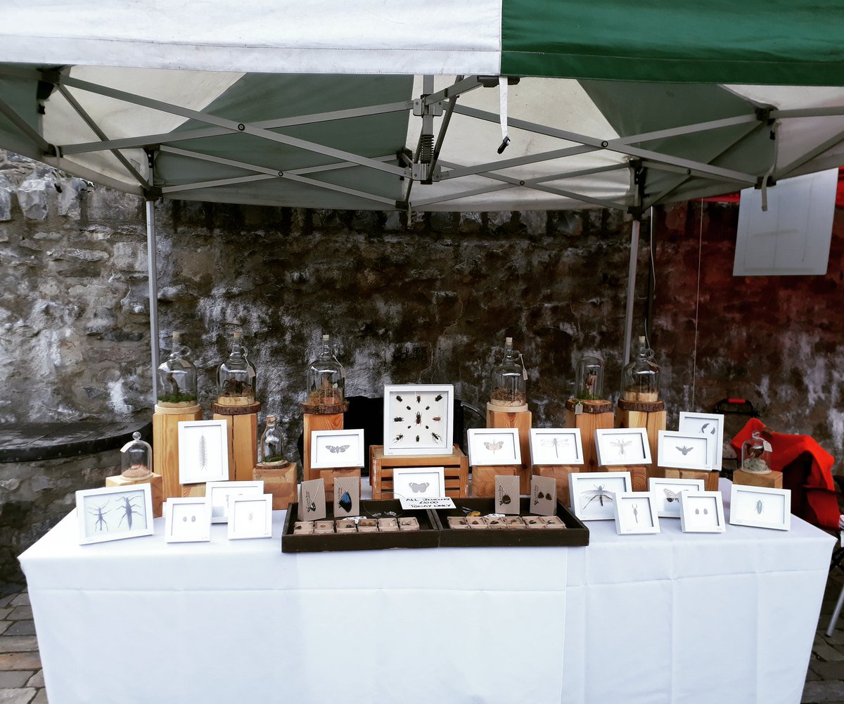 Gloyn_Byw's tweet photo. Back here again @bodnant_welsh_food with some new displays and all jewellery ยฃ10.00 FOR TODAY ONLY at the stall ๐ #sale #bodnantfoodcentre #stall #market #meettheproducer #insectdisplays #entomology #bugs #critters #critterman #gloynbywhandmade https://t.co/SfdKLFepWu