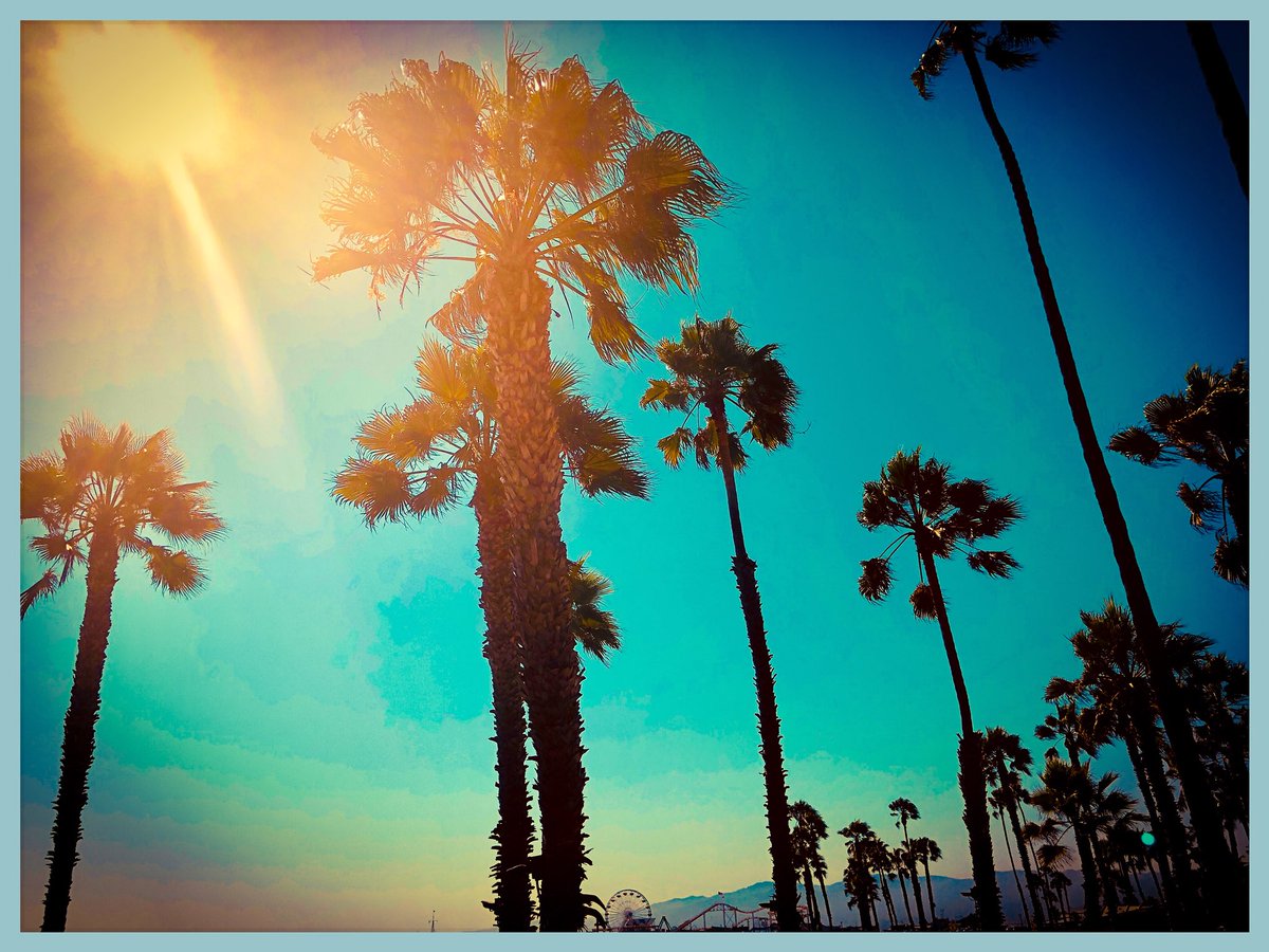 StarrinTV's tweet photo. It’s a lovely day #celebrate #LosAngeles #la #LaLaLand #favorite #beach #SantaMonica #california #calilife #palm #palmtrees #sand #sun #surf #pier #beach #princess follow @StarrinDaria @StarrinWorld @StarrinJunior @seherbedi #love #fairygodmother @Disneyland @DisneyStudios https://t.co/GIZT6R2LCR