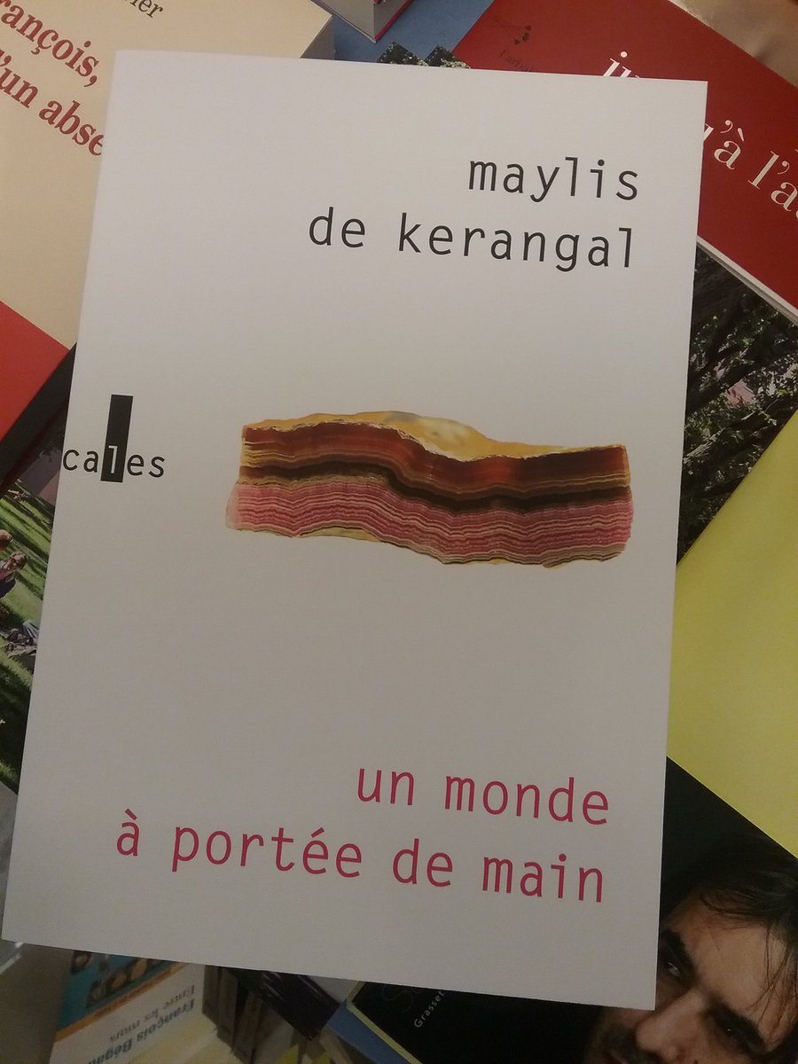Le premier mot qui vous vient, une fois Le monde à portée de main refermé est "magique". Le seul.
Magie de la prose, belle comme un torrent, magie aussi des univers que peint Maylis de Kerangal. 
#BrouillonDeCulture #RentréeLittéraire2018 #Gallimard