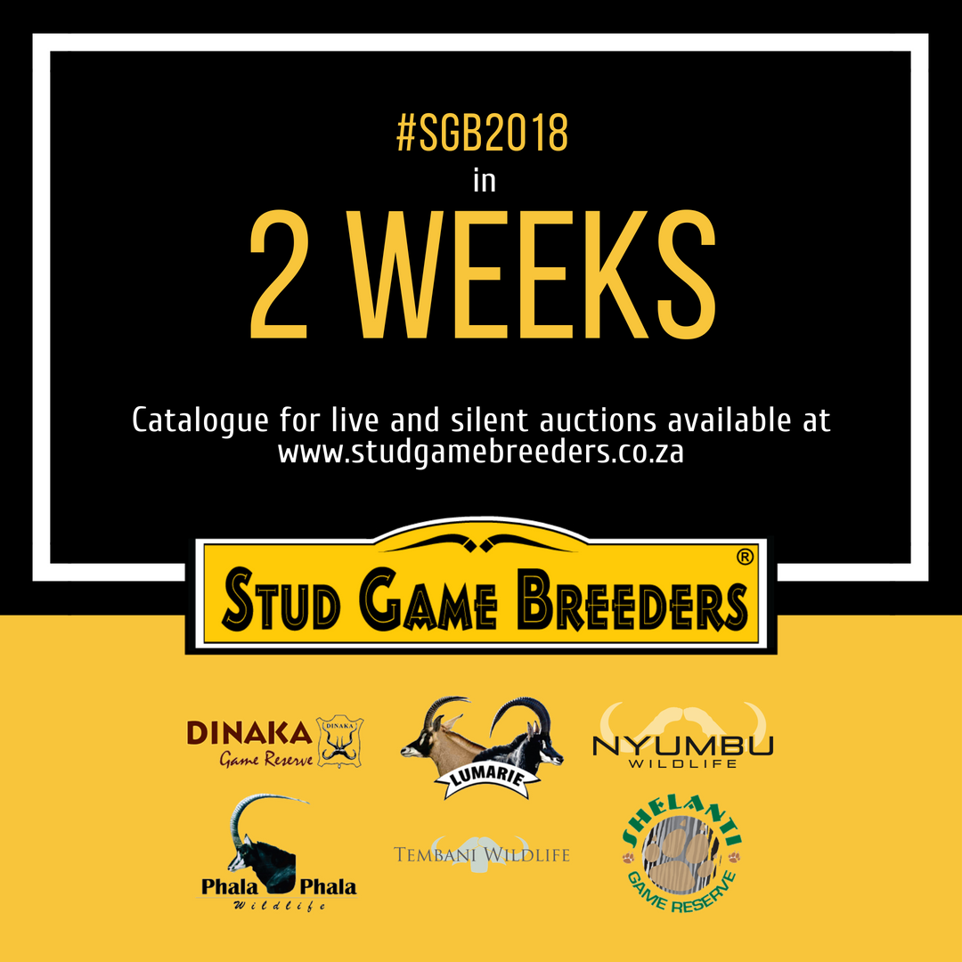 studgamebreeder's tweet photo. Join us on 1 September at Zebula for our biggest auction of the year. View the superb lots available by downloading the auction catalogue from https://t.co/1AOYP6KDic or in the Stud Game Breeders app.
#SGB2018 #gameauction #wildsveiling #gamebreeder #wildboer #SouthAfrica https://t.co/wJY4H1UHLr