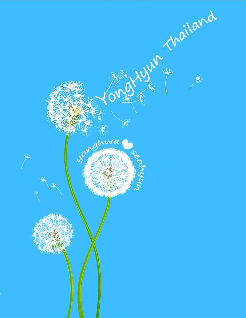 Фон одуванчики