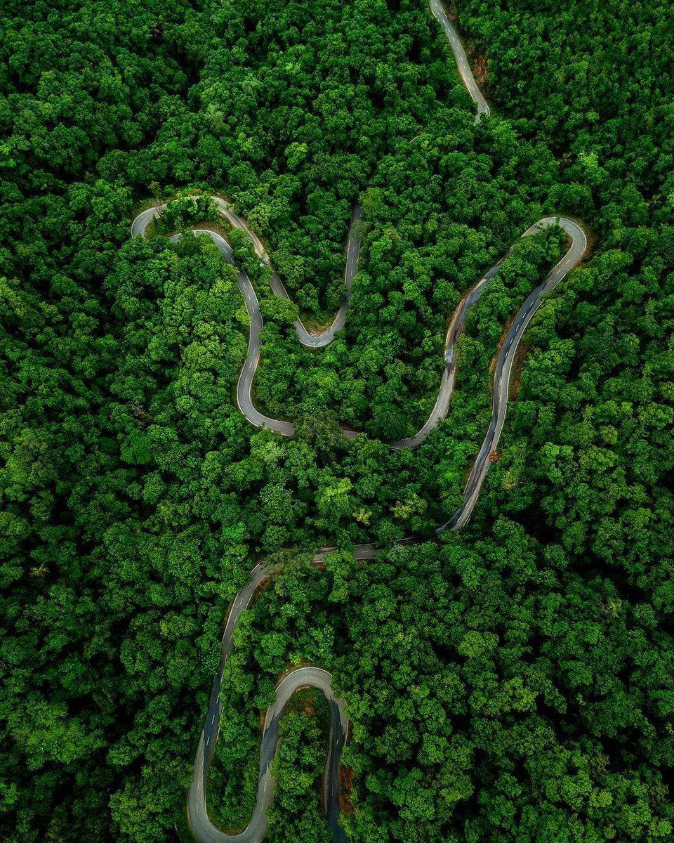 Travel Ka Baap tweet media