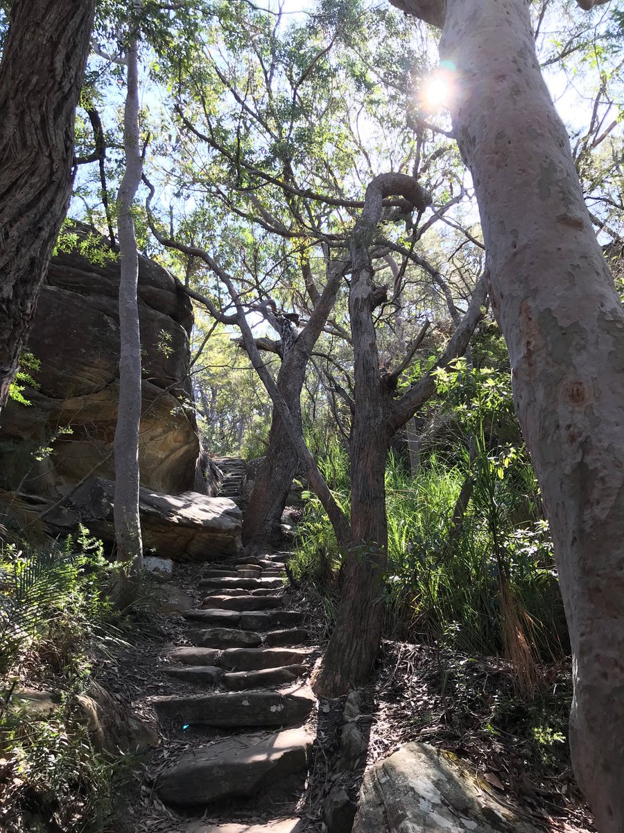 GrahamClewes's tweet photo. Lovely long walk today through the #Bouddi National Park on #CentralCoast. Terrific path through the hills, around the coast and right along the beach at #Killcare. Such enormous skies, far reaching views and beautiful sands. https://t.co/eZGXyjETeo