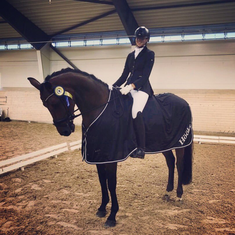 @sophievikman and Ramses first competition 71,5% and winning🥇One of those amazing horses that are the same in the warmup as in the ring, super competition horse. Ramses is 7 years old from Blue Horse Roshoff-BH Leredo. @alfab_hastlastbilar <a href="/rsmustang/">RS Mustang</a> <a href="/hippocrates/">Benjamin James Plato</a>.se <a href="/nafsweden/">NAF Sweden</a>