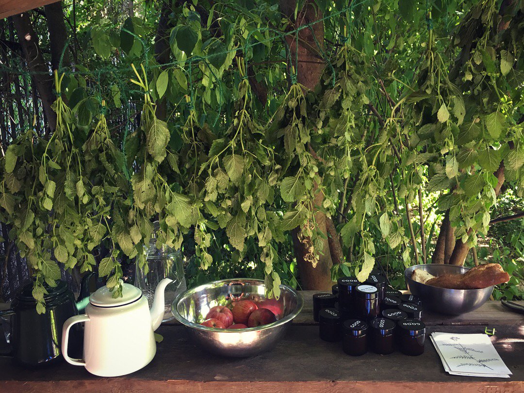 PhytologyLondon's tweet image. We are OPEN today 11 - 5
11-5 Medicine Meadow Harvesting
11-1 Volunteer Session
11-4 Life Underground : Clay Pot Making w/ Ellie Doney + Nayoung Jeong* 
1-2 Shared lunch Talk w/ Shumaisa - bring a veggie dish to share 
*Book online
#sharedlunch #saturday #volunteer