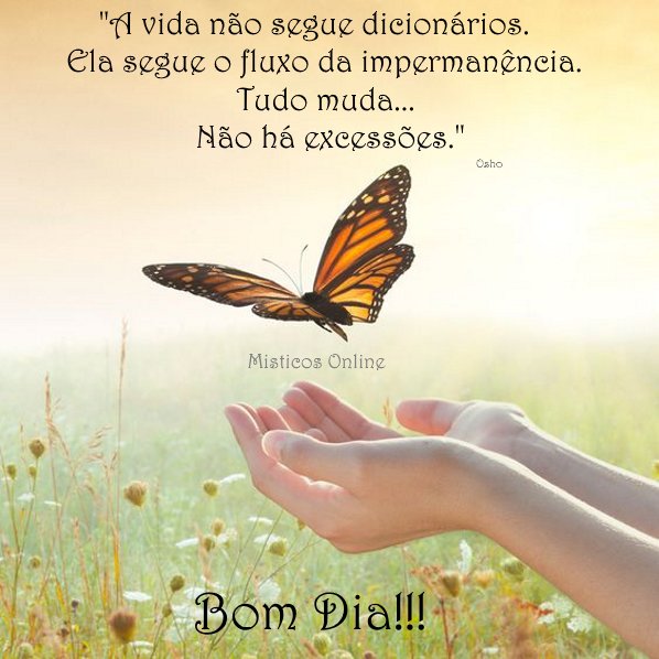 Misticos Online on X: #misticosonline #misticos #tarotonline #bomdia  #pazeluz  / X