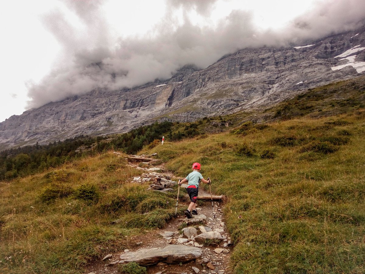 Alinaha's tweet photo. Little steps lead to big things... true passion for mountains & @GrindelwaldCH @JungfrauRegion #hikingadventures #fouryearsold #braveboy #littlechallenge https://t.co/gGycWaowsL