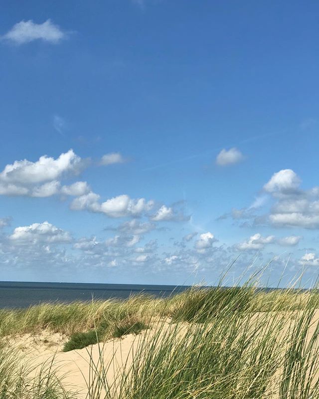 Waldhelden's tweet photo. [Werbung] Katwijk Beach. Bestes Strand und Surfwetter gestern. Surfkurs Teil II 🏄🏼‍♂️ erfolgreich absolviert. Super Fun mit @surfschool_surfkaravaan 👍🏻 Kelly Slater soll sich warm anziehen 😜 
#katwijk #katwijkannzee #nordwijk #leiden #scheveninge… https://t.co/IpAxh6DUCF https://t.co/Q1HjKsKdlh