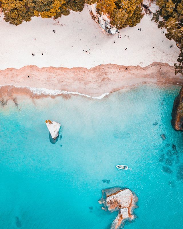 UltimateTraveI's tweet photo. In 'NOW' mode. •
#MyUltimateMoment #UltimateNZ #TravelUltimate
•
•
•
•
•
#SeeNewZealand #NewZealand #backpackingnewzealand #gapyear #adventuretravel #grouptravel #travelphotography #nzadventures #ultimatetravel #adventurelife #wanderful #wanderin… https://t.co/MBtsndNaoq https://t.co/od0Xbt88nI
