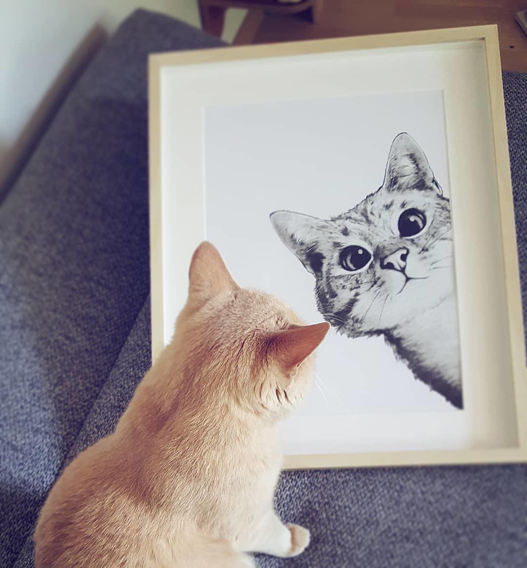 Mirror mirror on the wall.

Design:
Sneaky Cat by Laura Graves
fal.cn/meow