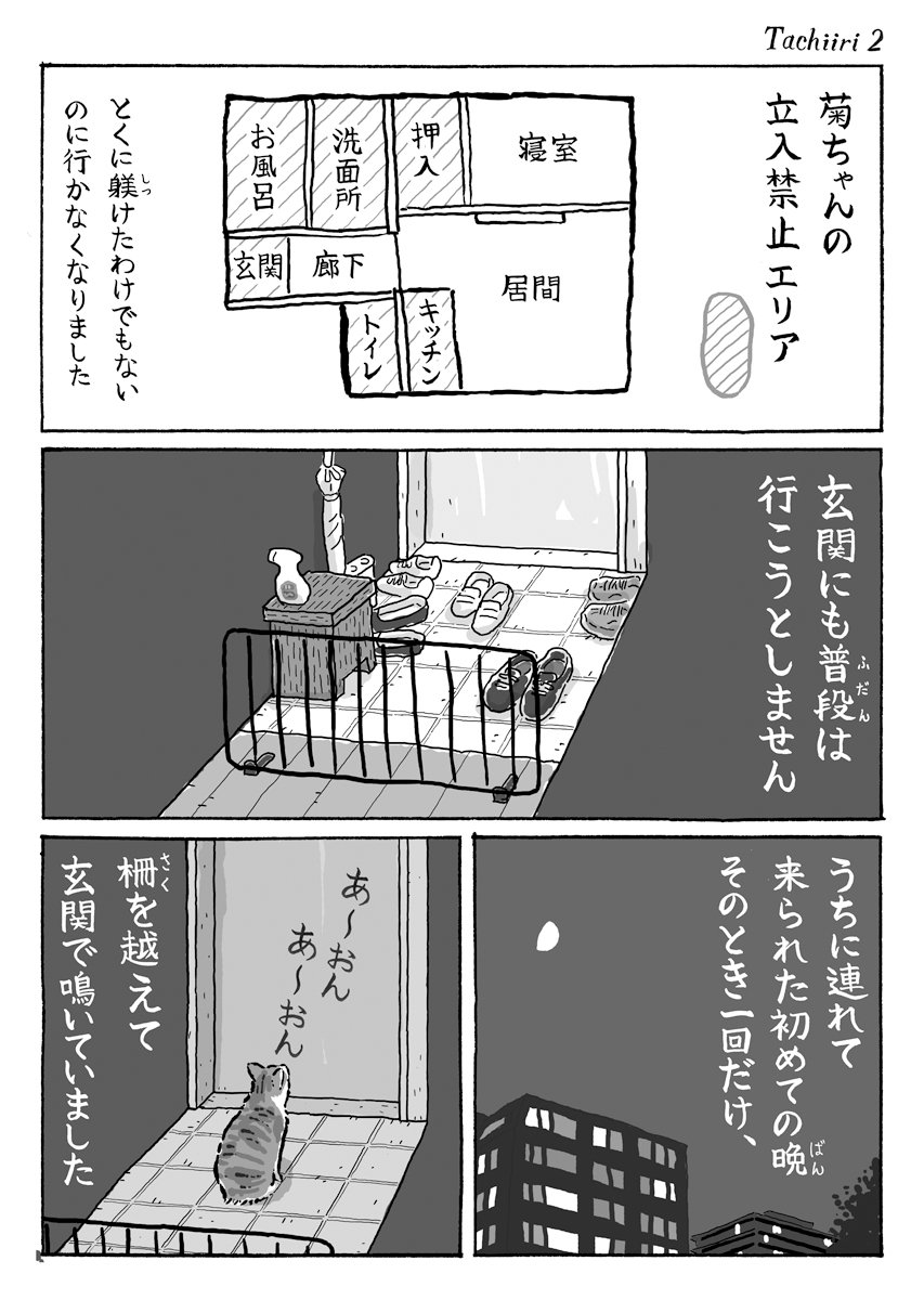 2ページ猫漫画「洗濯物を干していると…」 