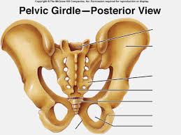 LkOaRye's tweet image. Awwwe I "pelvic" you too. @BTS_twt HEHEHE 😂 #bts #hearteu #tooextra #weibo #army #edits #lol #joke