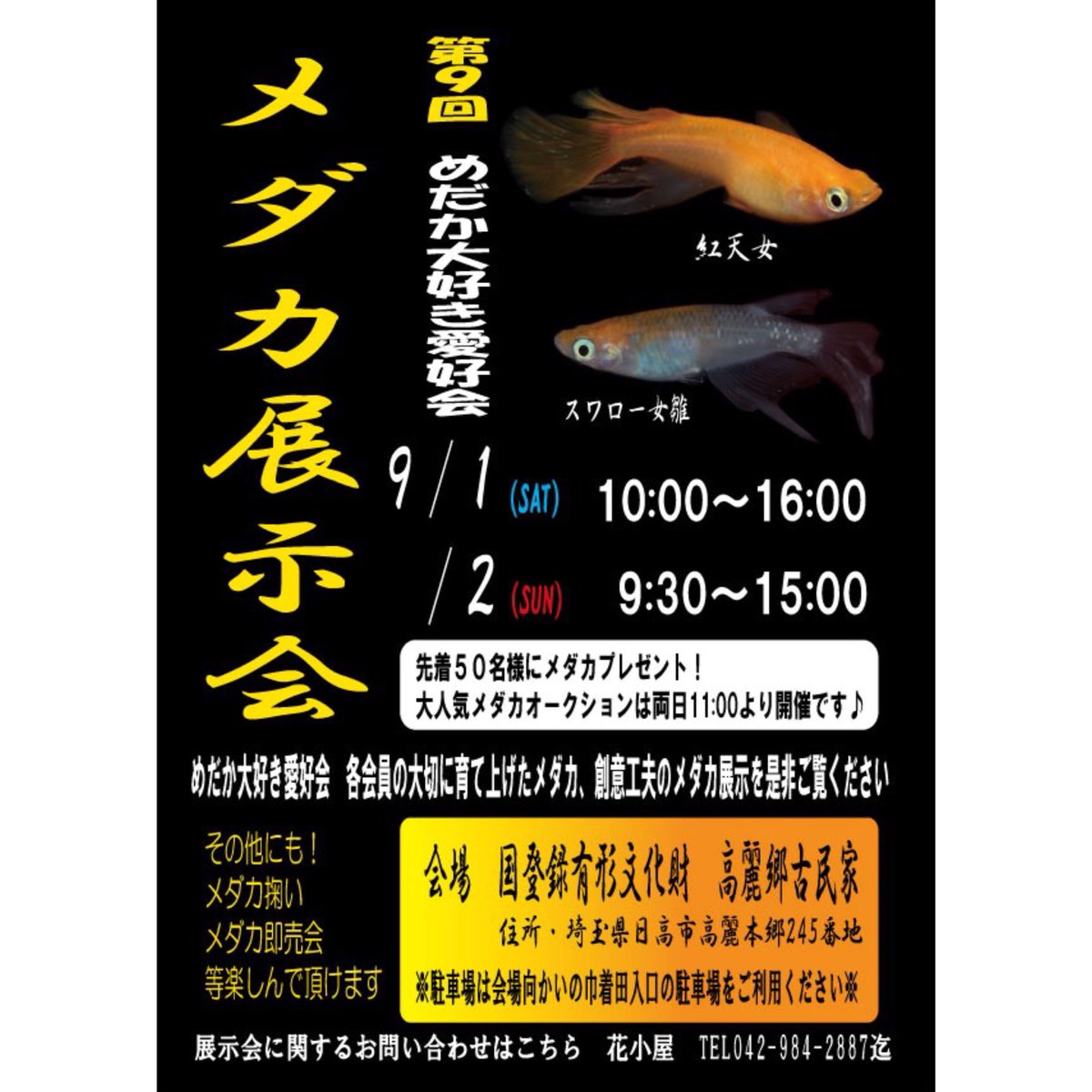 メダカー いよいよ開催2週間前と迫って参りました 第9回 めだか大好き愛好会 展示会 秋もわいわい楽しもう わたしも着々と準備を進めております お気に入りの魔王 改 を連れて行きますので 会場で探してみてくださいね メダカ