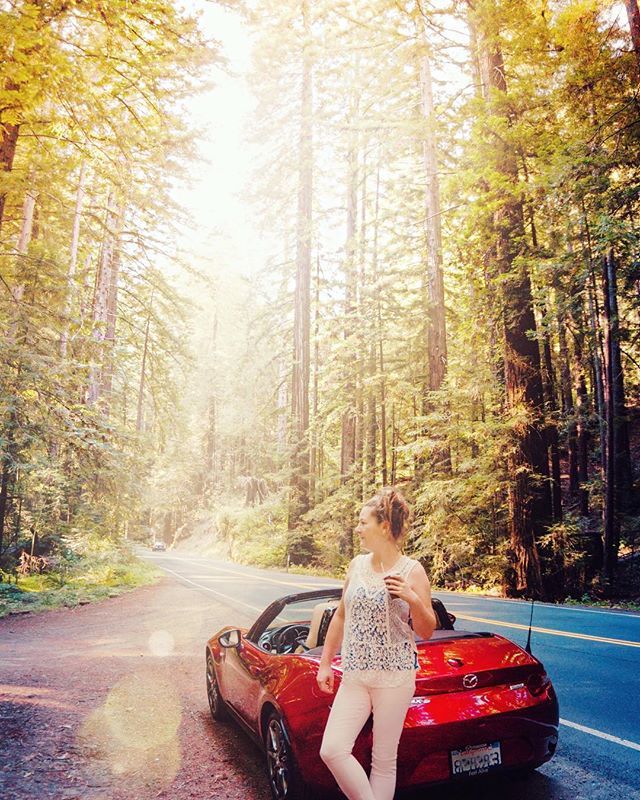 blogherethere's tweet photo. Have you ever been somewhere so quiet it seems magical?? ✨ The California Redwoods really seemed to absorb all sounds of the modern world, making me feel like I was truly deep inside a forest, in a fairytale kind of way. They were so tall you couldn’t see their treetops, but… https://t.co/yfgaxgJQL2