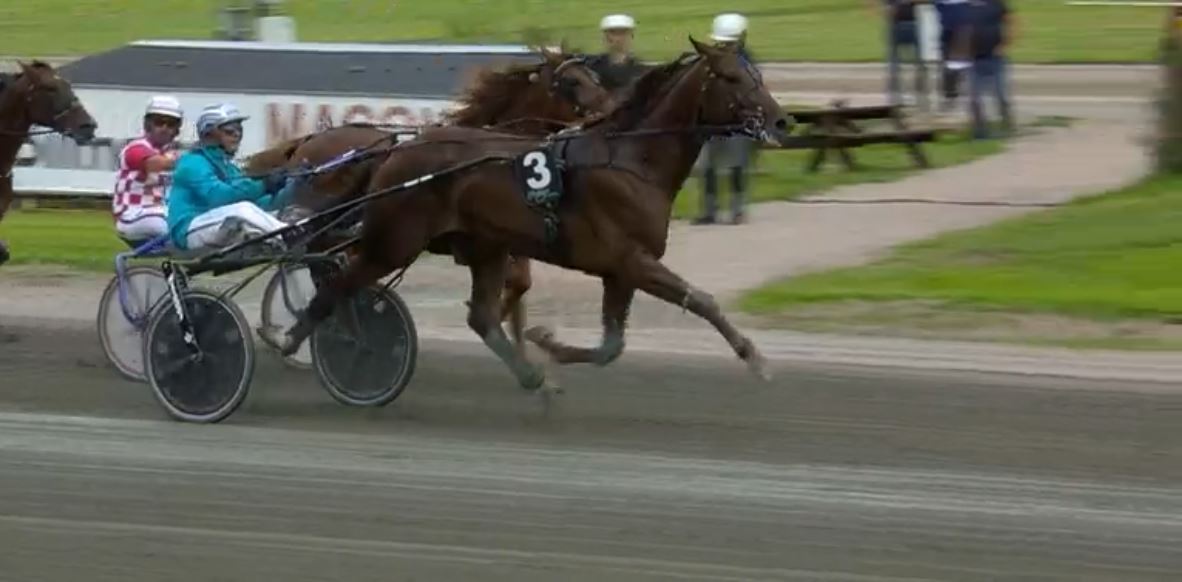 Joe_Zagari's tweet photo. #BettingGangster 🇸🇪 #GoinKronos won #E3Final 🏆🇸🇪 Group 1⃣ for 3 years old C&G @Gavletravet @E3trav with #CarlJohanJepson & #JerryRiordan ⏱️1.12.3 on 1640 over #JaguarDream and #BaritoneArtist https://t.co/nt8C3iFGMU
