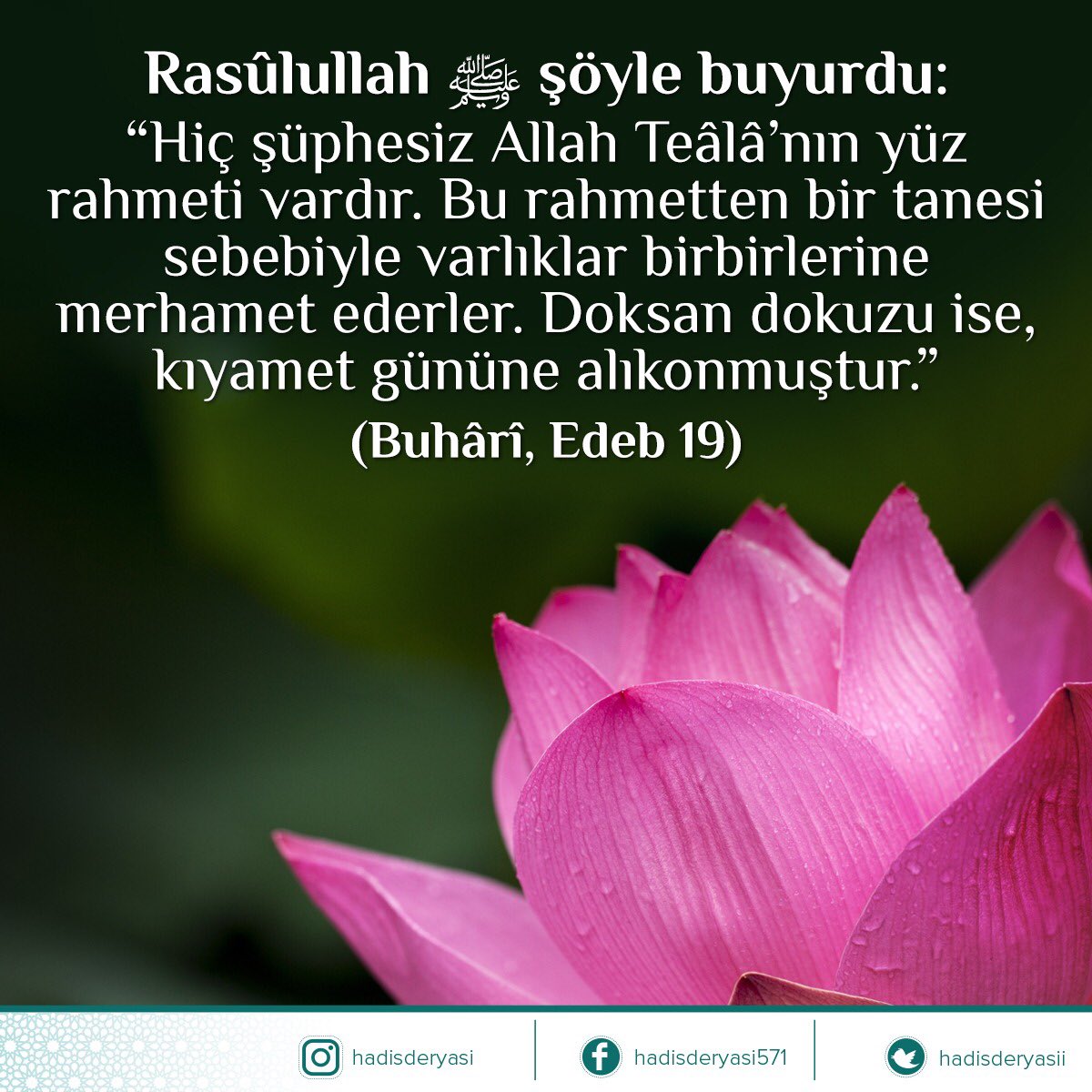 Rasûlullah ﷺ şöyle buyurdu:

 “Hiç şüphesiz Allah Teâlâ’nın yüz rahmeti vardır. Bu rahmetten bir tanesi sebebiyle varlıklar birbirlerine merhamet ederler. Doksan dokuzu ise, kıyamet gününe alıkonmuştur.” 

(Buhârî, Edeb 19) Hadis-i Şerif