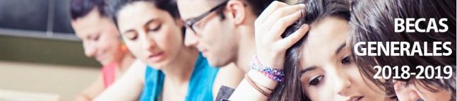 Ministerio de Educación, FP y Deportes tweet media