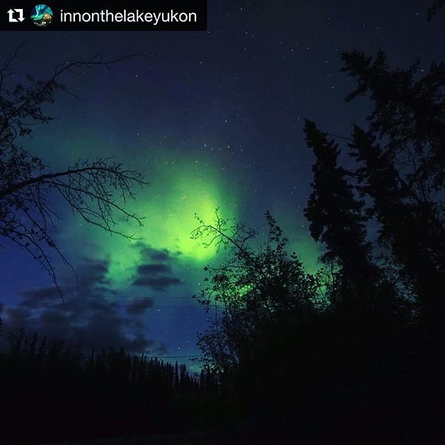 Yes yes yes!!! 💚✨ Just a couple more sleeps and I’ll be back up north in the #Yukon, my home away from home. Can’t wait to board <a href="/flyairnorth/">Air North</a>, Yukon’s Airline, and leave this nasty #BCWildfire smoke behind!! Really looking forward to breathing clean … ift.tt/2nQhqRT