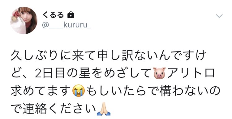 __y_mt's tweet photo. 大好きなくるたんが探してます😢
お心当たりのある方いらっしゃいませんか？ https://t.co/dbyh2DT3Nf