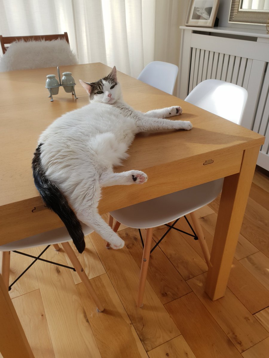 Andy Skopes tweet media