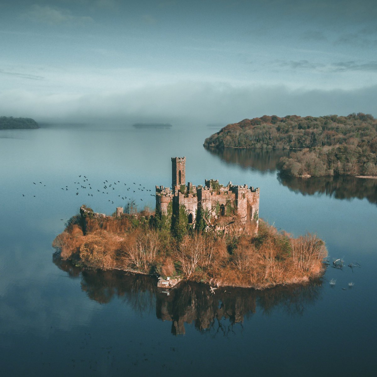 MaxMalloyPhotos's tweet photo. Lough Key, somewhere in Ireland #ireland #castle #loughkey https://t.co/OXbY4LHzjR