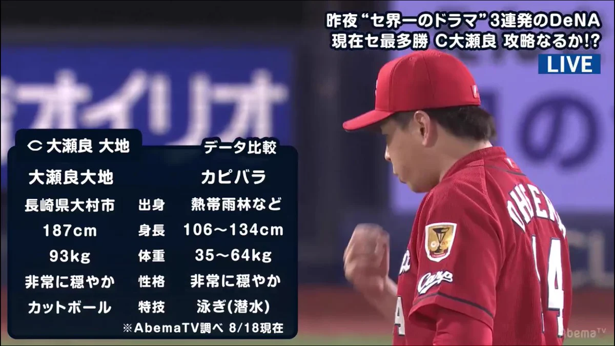 見た目が似てるからって？大瀬良とカピバラをデータ比較するのやめろｗｗｗ