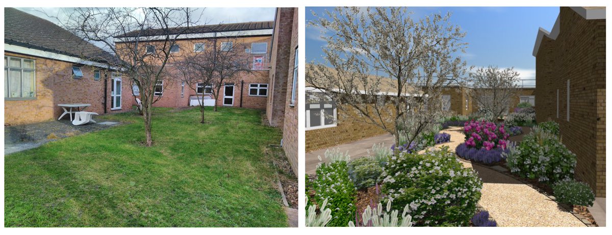 Nikki Applewhite tweet media