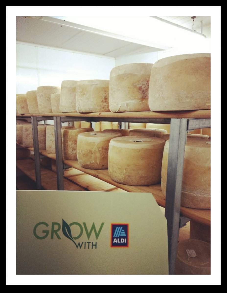 Derg Cheese tweet media