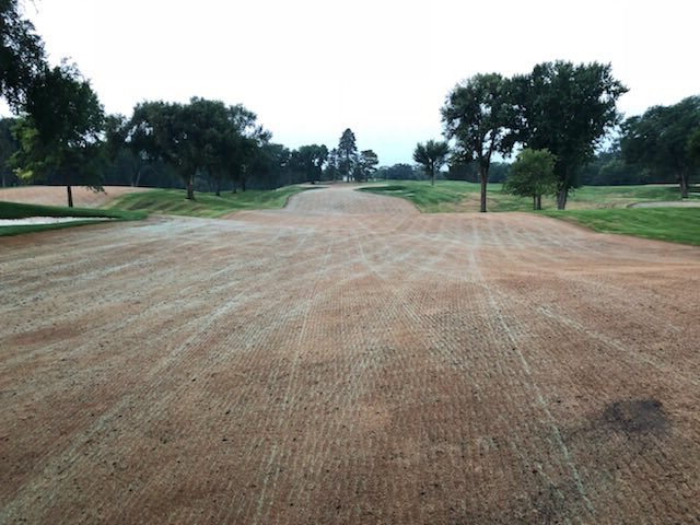 MinikahdaTurf's tweet photo. Morning are the best for seeing seed germination. #turfco #triwave60 @TurfcoGolf https://t.co/fOFSylS9OS