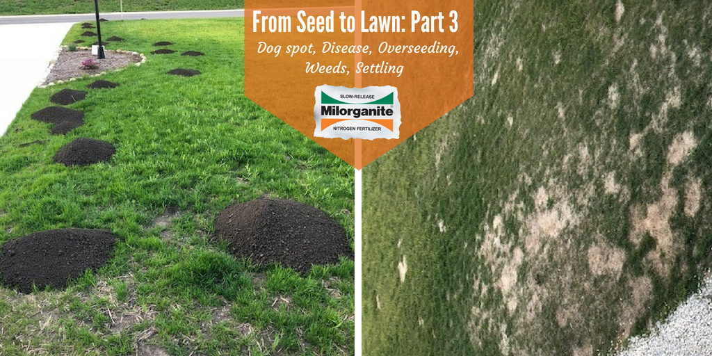 Milorganite on Twitter: "Check out part three of the Milorganite