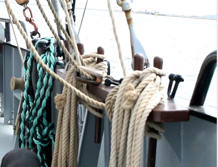 SailMoonfleet's tweet photo. #AllAboard #sailing #moonfleet #lulworthcove #durdledoor #Dorset #dorsethour #visitdorset #waves #sea #coast #coastline #scenery #tallship #adventure #hoistsail #learnropes #takehelm #seadog #captainscrum #walketheplank #pirateship #dorsetmagazine #dailyecho #dorsetecho #daysout https://t.co/EwF67XmA9R