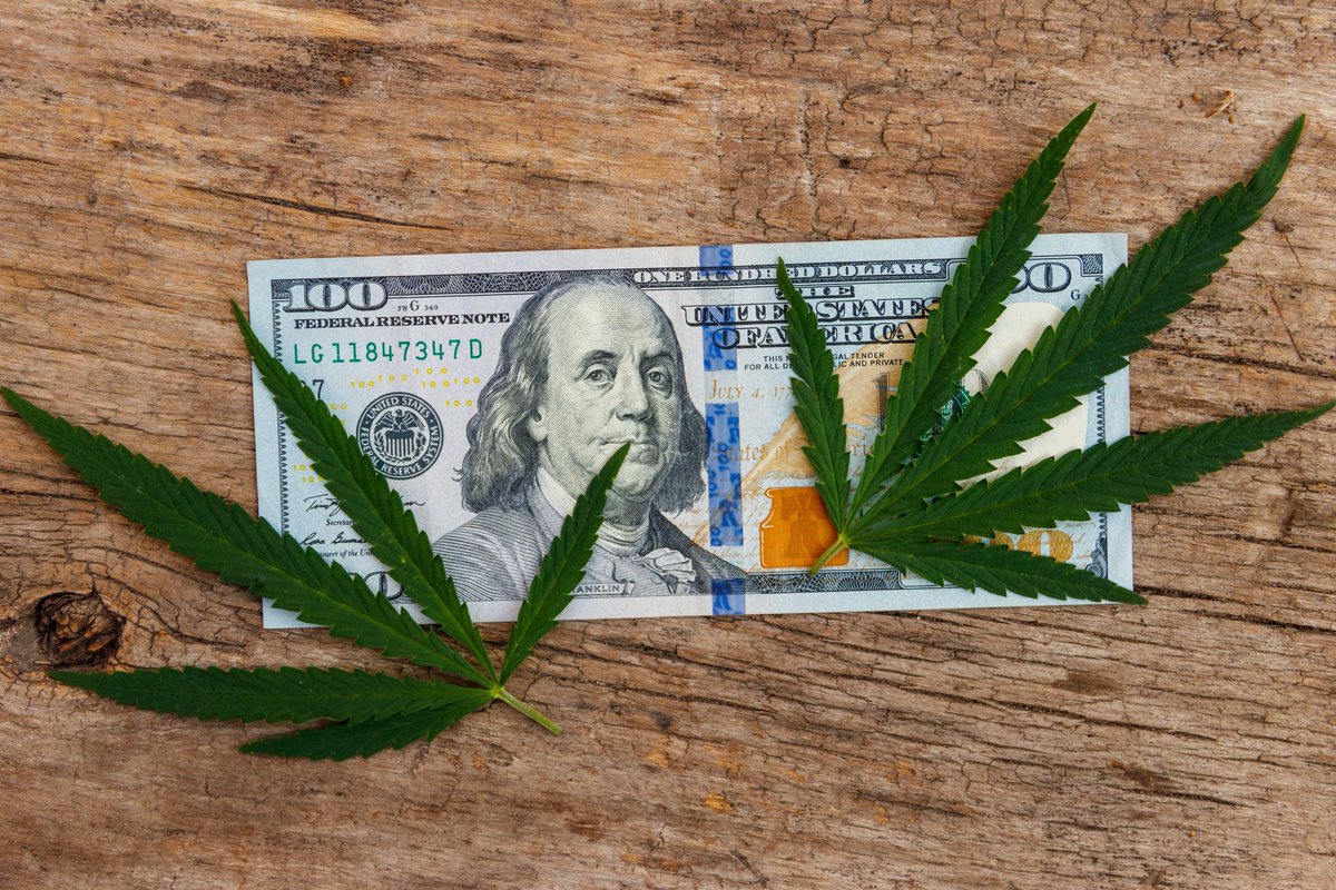 snowtill's tweet photo. Can These 3 Top Marijuana Stocks Make You Rich? https://t.co/g42URBiM9V https://t.co/8FH0FFqntL