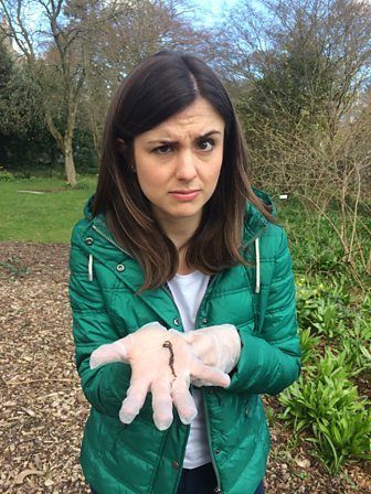 BBC Weather Show tweet media