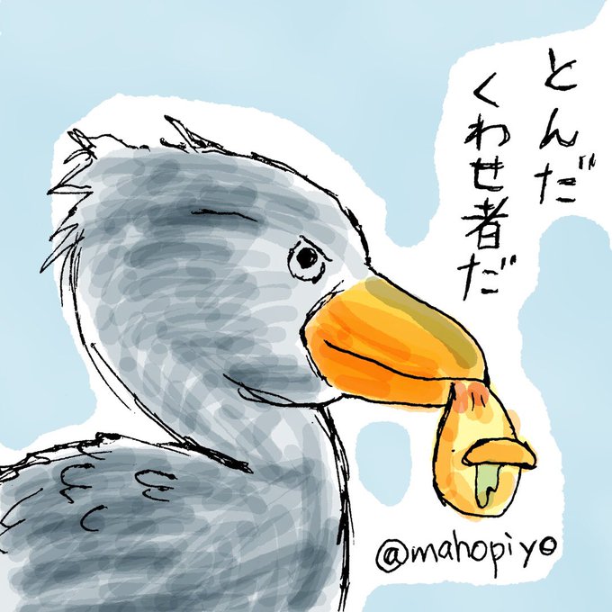 鳥かわいいのtwitterイラスト検索結果 鳥かわいいのtwitterイラスト検索結果
