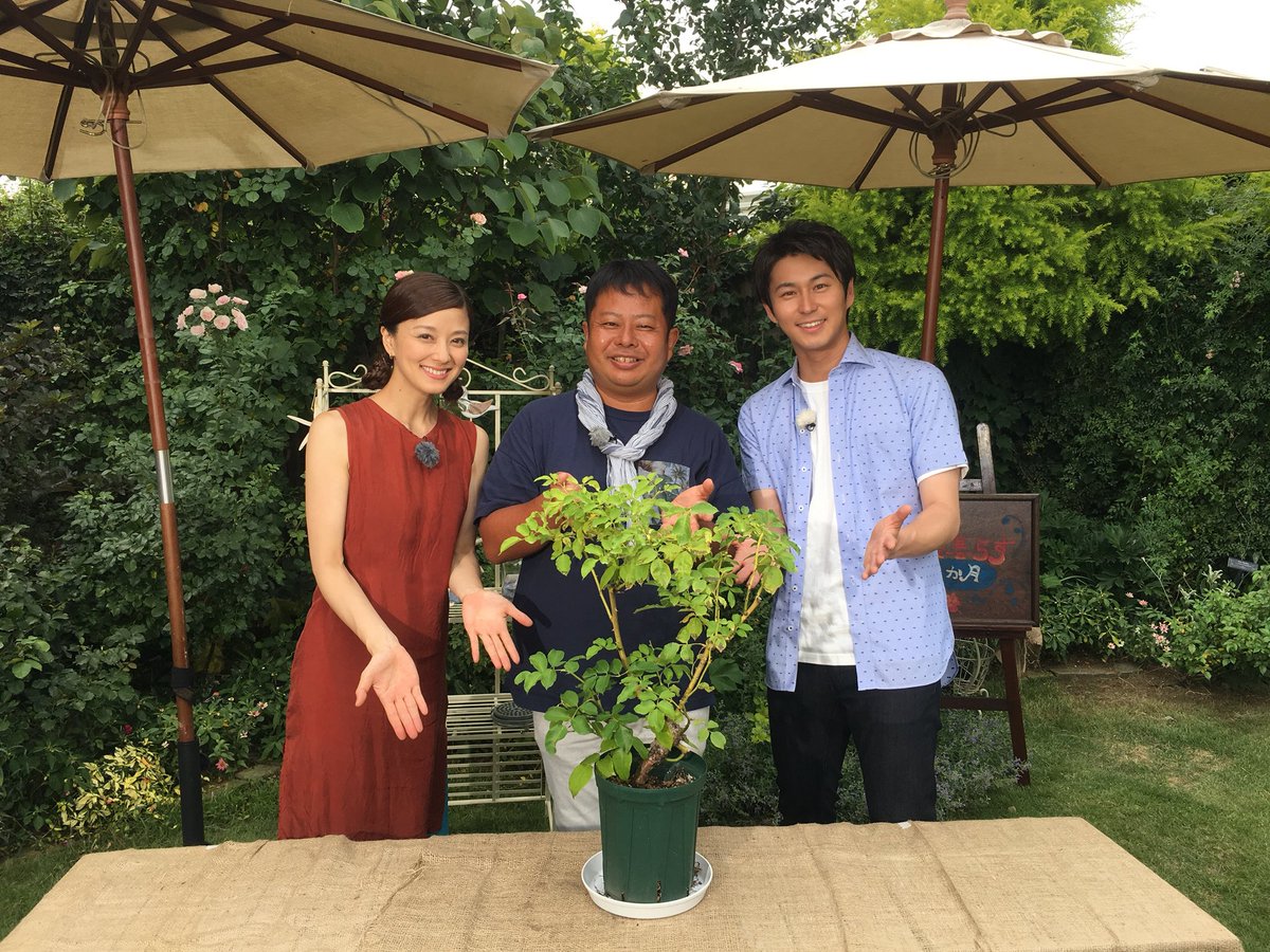 三上真史 على تويتر 明日は趣味の園芸 バラと暮らす12か月 第5回です 秋に美しく咲かせるためには Nhk Eテレ 趣味の園芸 三上真史 على تويتر 明日は趣味の園芸 バラと暮らす12か月 第5回です 秋に美しく咲かせるためには Nhk Eテレ 趣味の園芸
