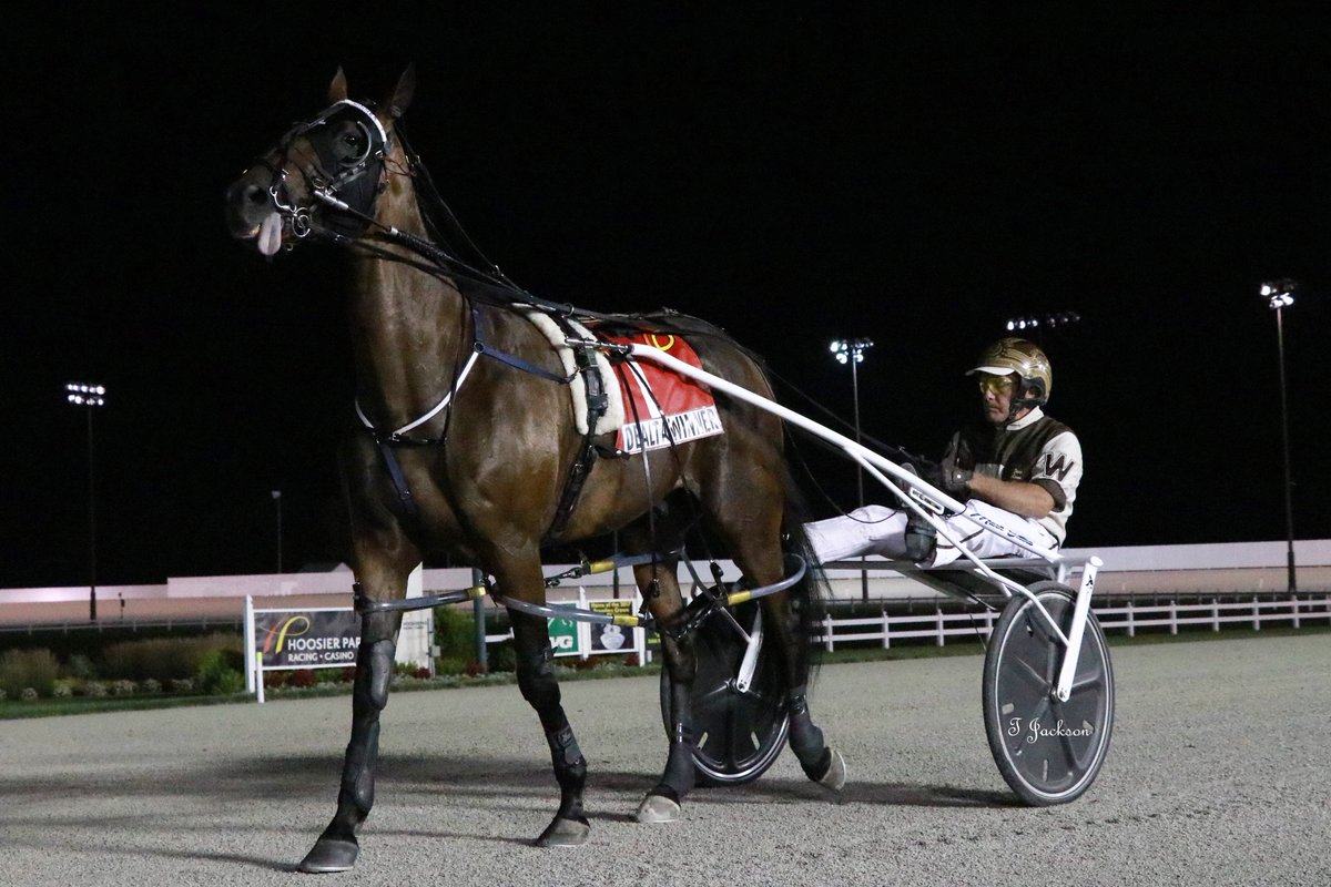 hoosiernations's tweet photo. GoodMorning @Chris_wponies @JoannKi32885615 @rebelsart @jtlburn @kimberlymoier @dolenski_john @vnssa926 @KathleenBaitzel @blongphee67 @SadandSulk @HoP_Racing #DealtAWinner #PeterWrenn #Patch25 #PlayHP https://t.co/mShEo3LxGv