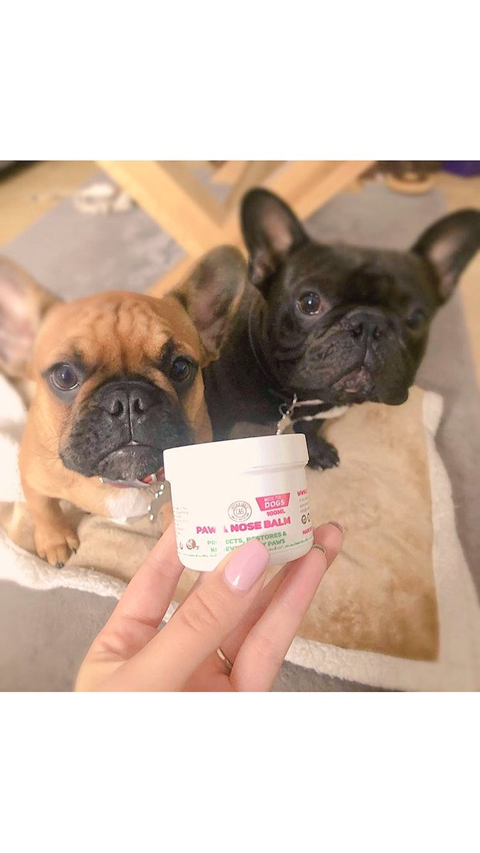 Because frenchies love cruelty free paw and nose balm. #pawbalm #frenchbulldog #ukdogs #doggrooming