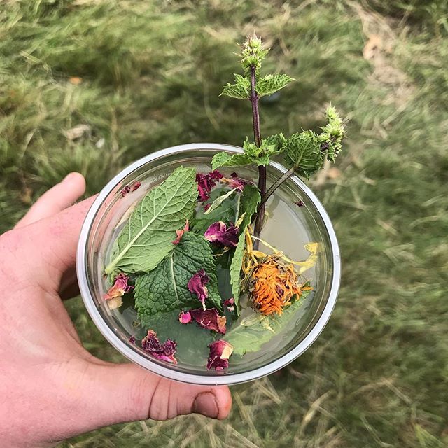 milgicardiff's tweet photo. we’re at @greenmanfest and we’re serving CBD iced tea. Calming, increases focus, promotes general wellbeing. It’s also delicious! #cbd #greentea #icedtea #milgi https://t.co/deLo7LUgsQ