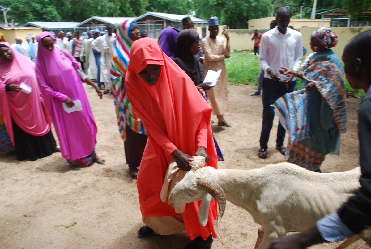 mohammedswot1's tweet photo. SWOT C.E.O @kujarima Hajiya Nana  2day 18 August distributed RAM as 2018 EDIL-KABIR SALLAH Gift 2 Tsangaya Teachers (Ulamas), Widows &amp; Orphans. The occasion took place @D Multipurpose Hall @GHMaiduguri  she urge the Ulamas 2pray 4 lasting peace in Borno @Insidearewa @FBShehu https://t.co/NZ4T6Dkzof