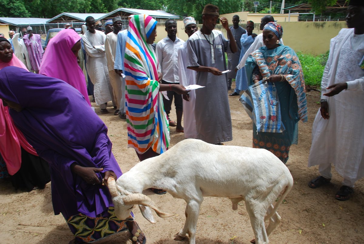 mohammedswot1's tweet photo. SWOT C.E.O @kujarima Hajiya Nana  2day 18 August distributed RAM as 2018 EDIL-KABIR SALLAH Gift 2 Tsangaya Teachers (Ulamas), Widows &amp; Orphans. The occasion took place @D Multipurpose Hall @GHMaiduguri  she urge the Ulamas 2pray 4 lasting peace in Borno @Insidearewa @FBShehu https://t.co/NZ4T6Dkzof