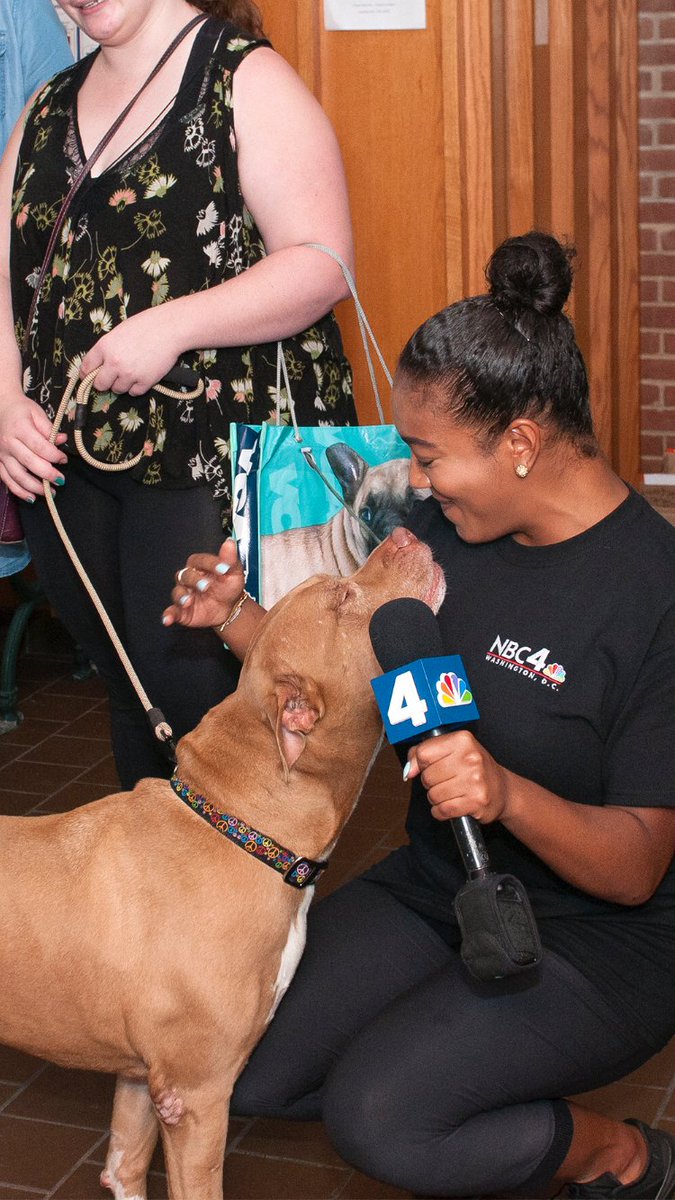 Kathryn Stack (@kstack001) | Twitter