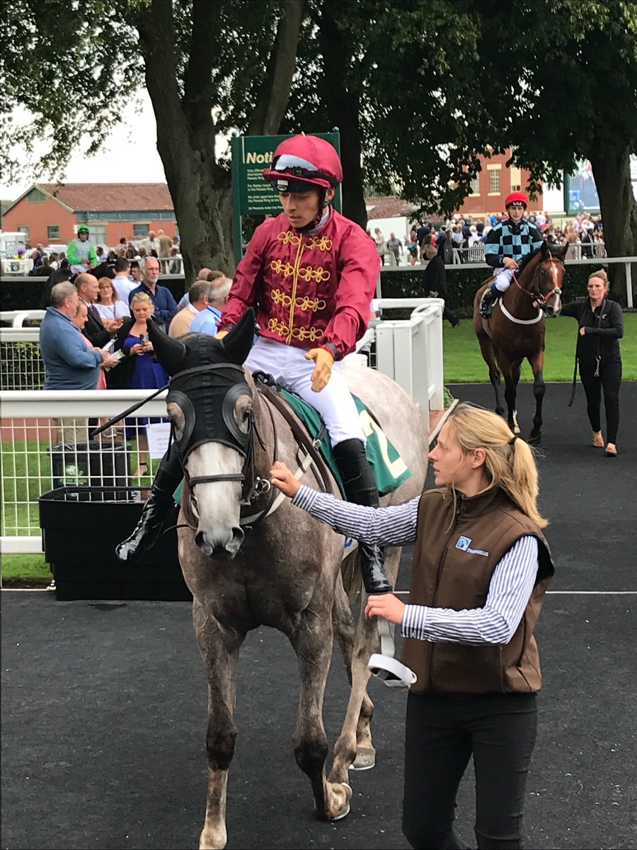 Ripon Races tweet media