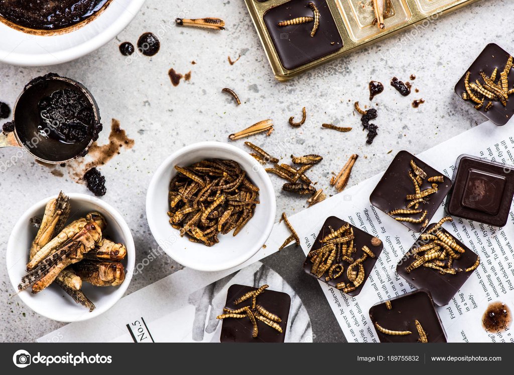Livinfarms's tweet photo. It's never too much for all the mealworm chocolates! ๐๐๐ซ
Grow your mealworms and get your Hive here: https://t.co/Z3xoPaq9V6
are YOU #farming yet? #entomophagy #edibleinsects #entovegan #bugappetit #futurefood #superfood #vitalproteins #b12supplements https://t.co/IO7jQgrVyB