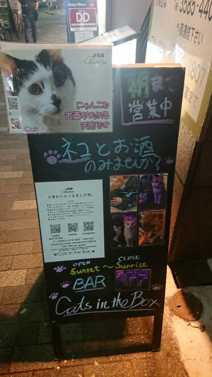 nyannekolove's tweet photo. 東京は恐ろしい((((;゜Д゜)))
ねことお酒🍺🎶🍺🎶🍺が呑める場所があるなんて・・・
深酒🍺😵🌀決定‼️ですね。
#新宿歌舞伎町
#catsinthebox https://t.co/nz52hXcW0h