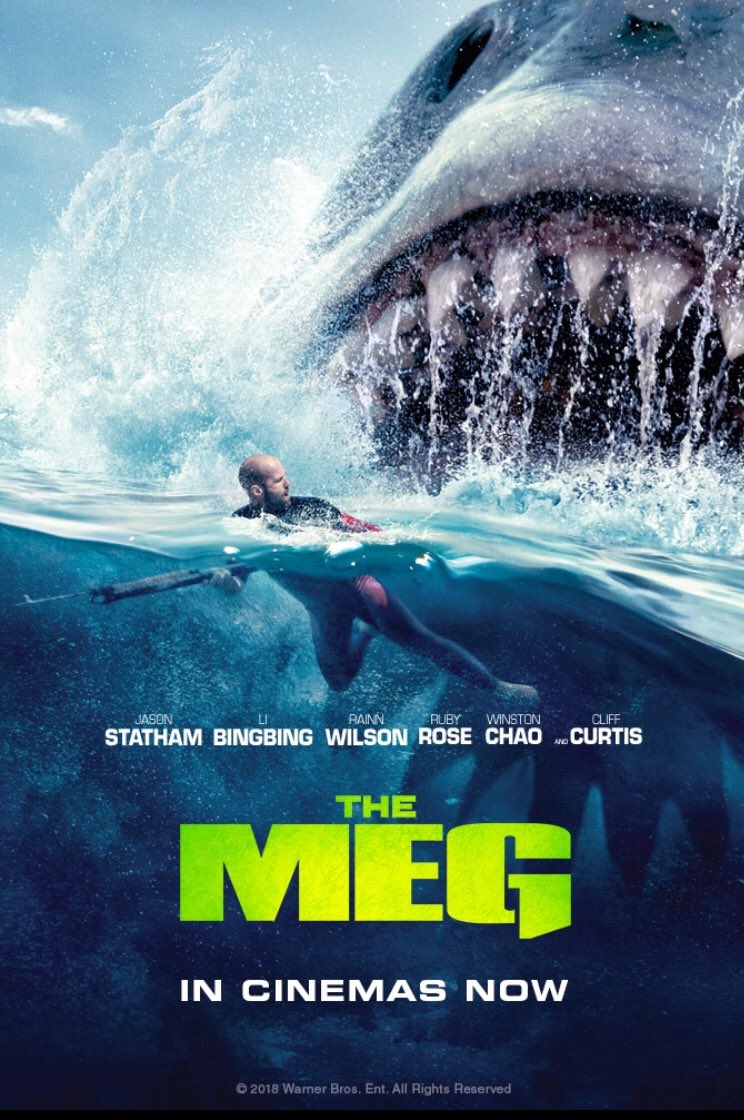 Heimildarmynd ? <a href="/Arnimegg/">Árni Magnusson</a>