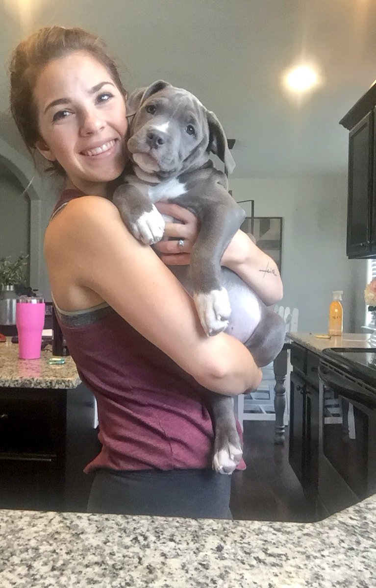 meeechelle2013's tweet photo. LOOK AT THOSE WRINKLES 😍☺️ he’s a whopping 35lbs at 13 weeks 🤭🤷🏻‍♀️ https://t.co/Og5kgnfLwZ